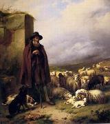 unknow artist Sheep 176 Spain oil painting artist